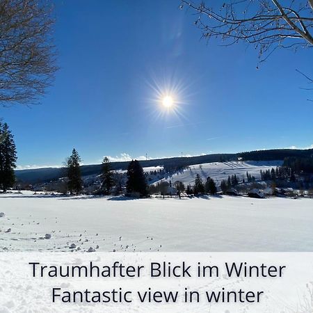 Auszeit Apartment Black Forest Schonach im Schwarzwald Экстерьер фото