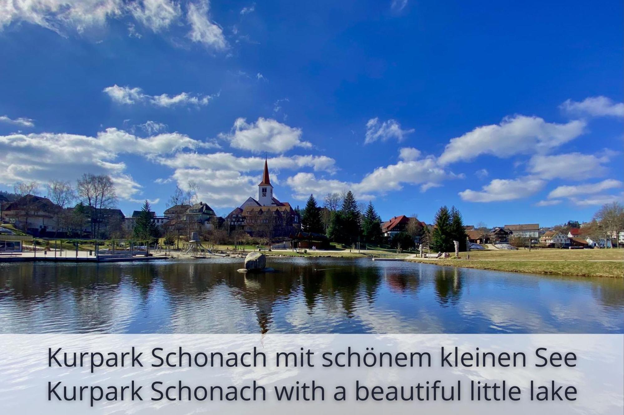 Auszeit Apartment Black Forest Schonach im Schwarzwald Экстерьер фото