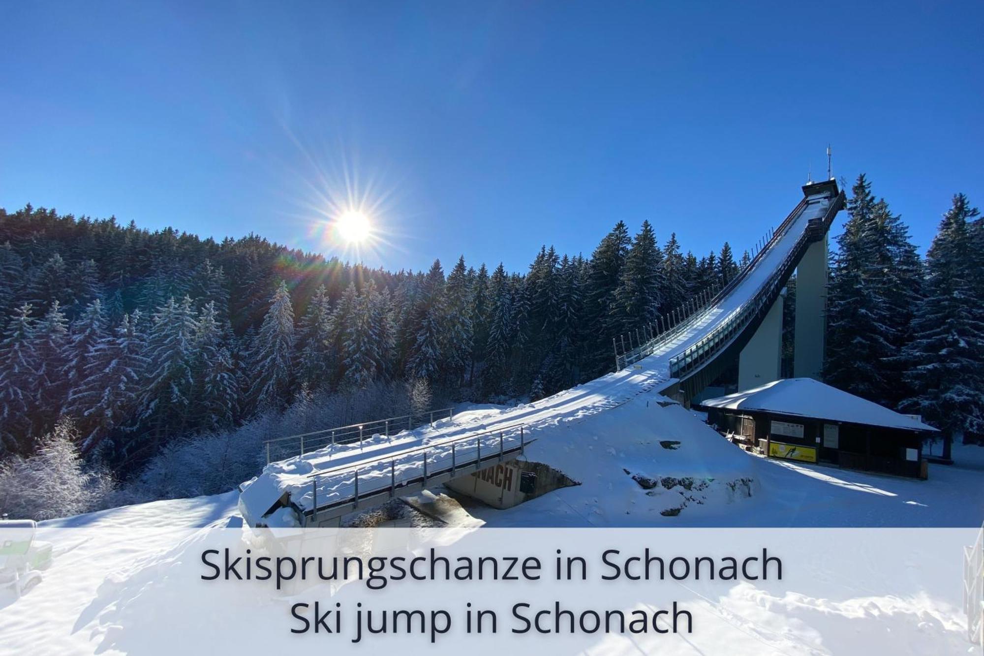 Auszeit Apartment Black Forest Schonach im Schwarzwald Экстерьер фото