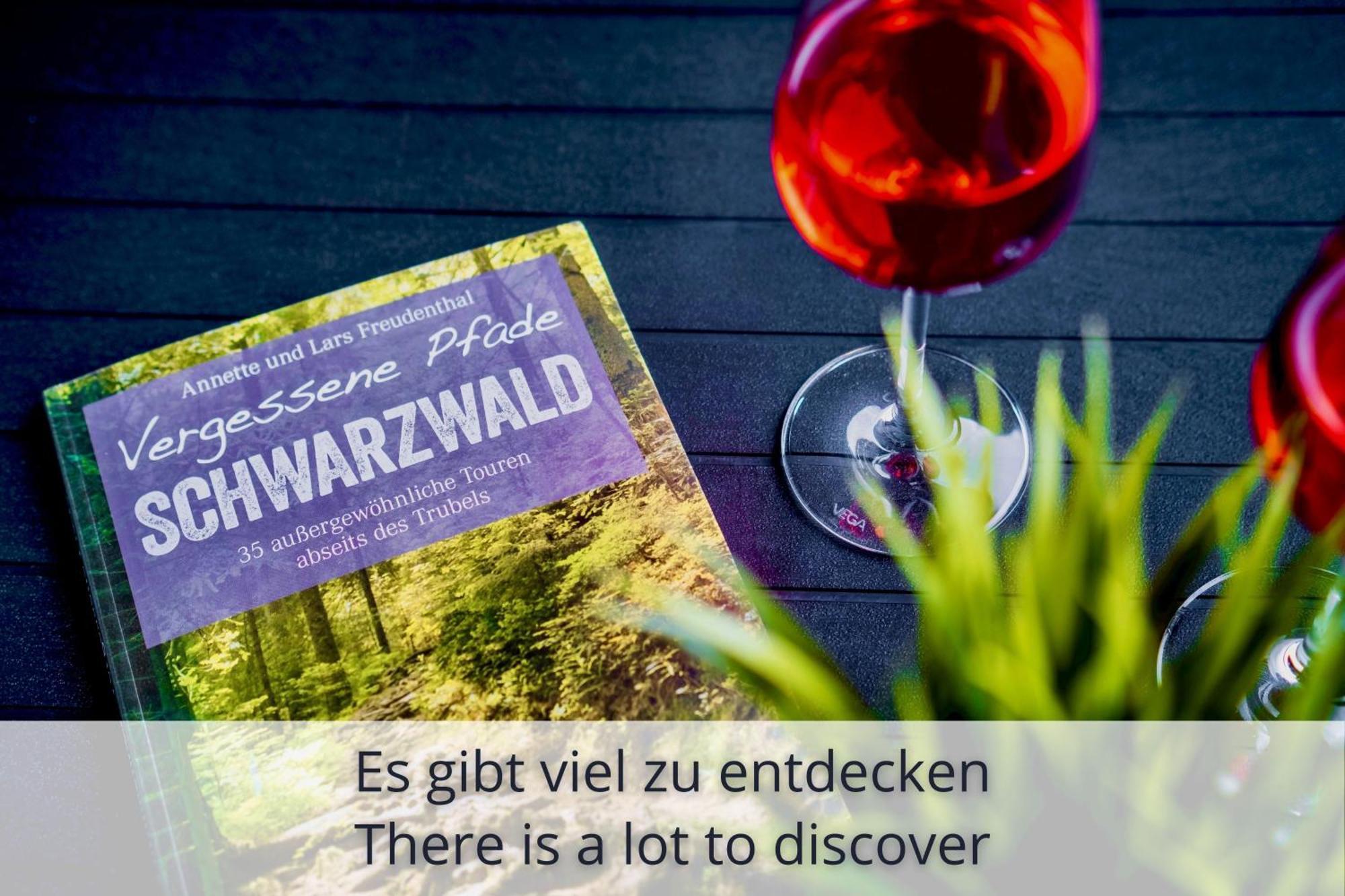 Auszeit Apartment Black Forest Schonach im Schwarzwald Экстерьер фото