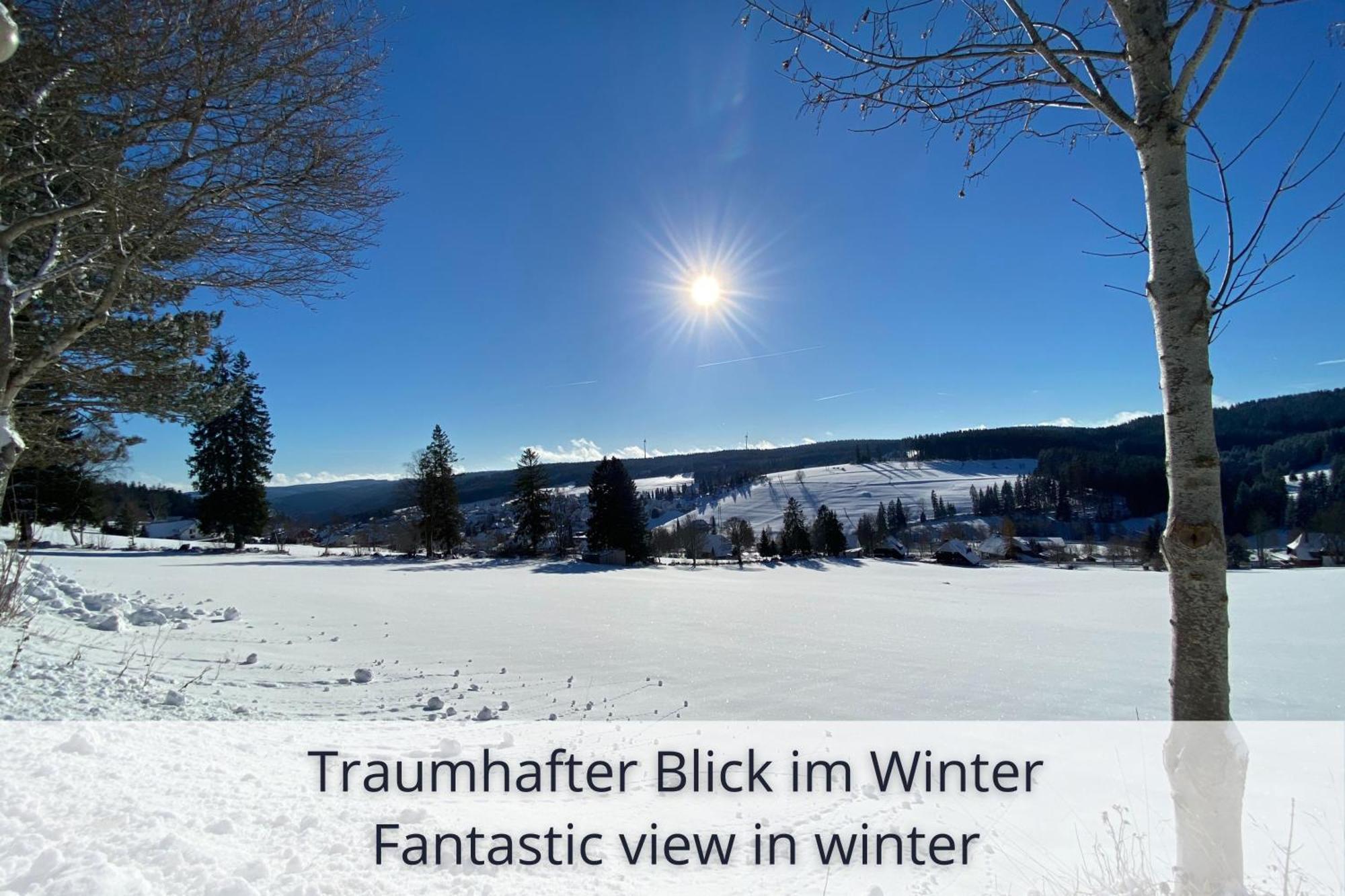Auszeit Apartment Black Forest Schonach im Schwarzwald Экстерьер фото