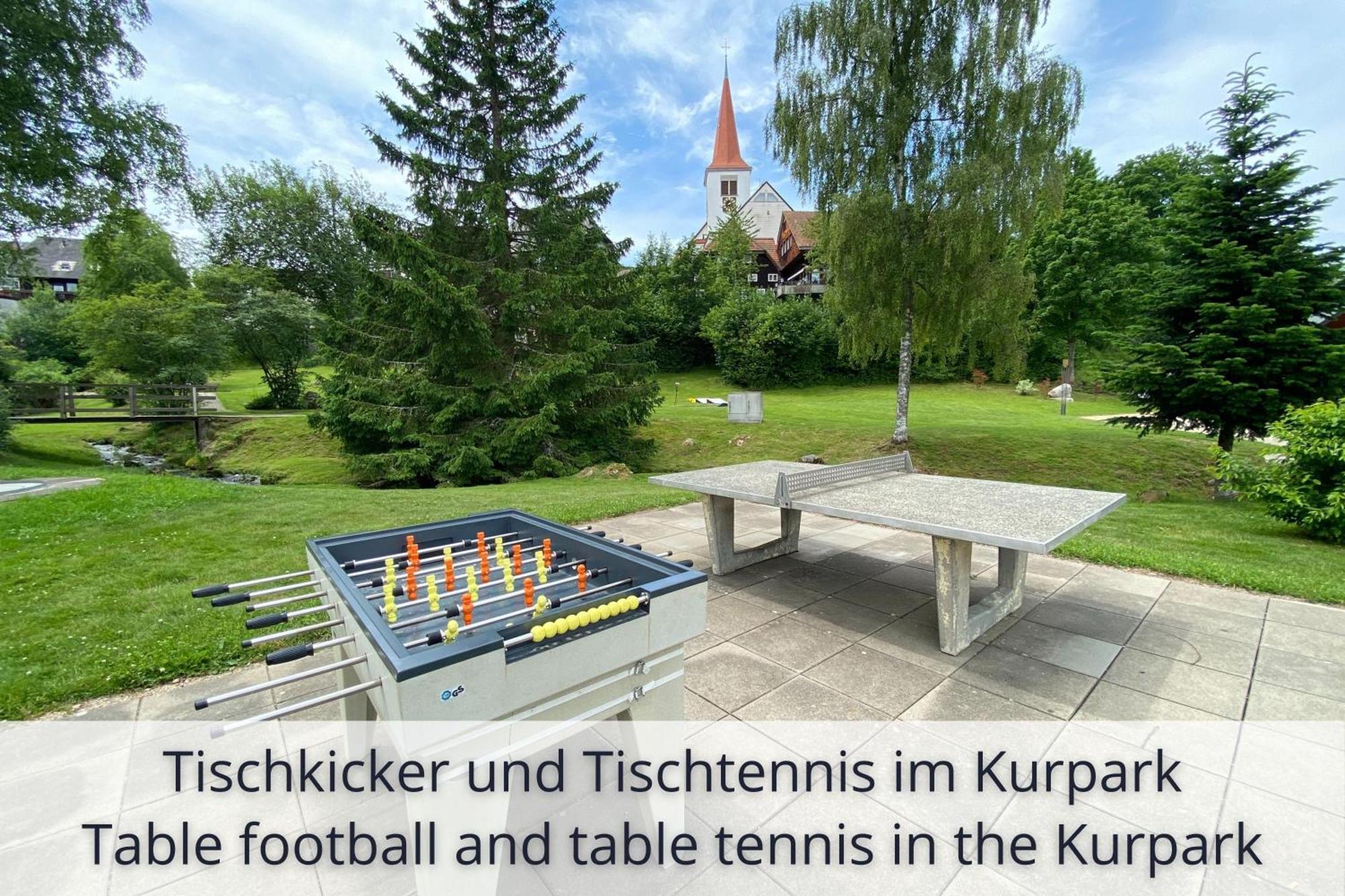 Auszeit Apartment Black Forest Schonach im Schwarzwald Экстерьер фото